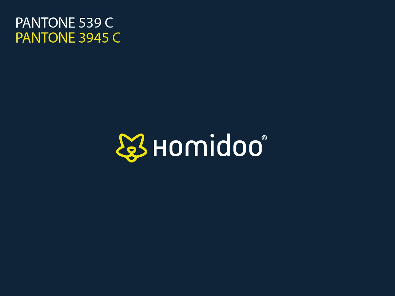 Homidoo design detail 1
