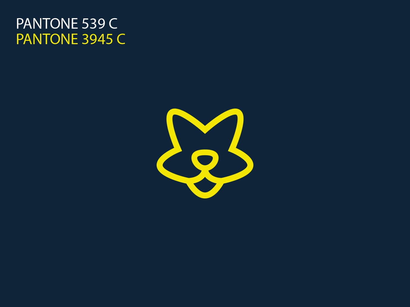 Homidoo design detail 2